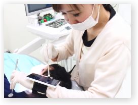 �����g�Q���B�e�@���É��@�����