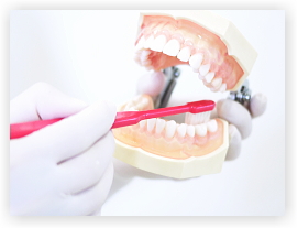 �������̎d���������܂��@���É��@�����